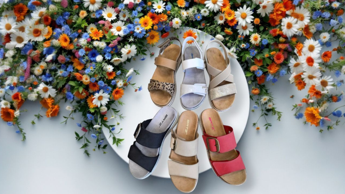 1252aacc-211d-497f-9459-ab2ad41f1f5012