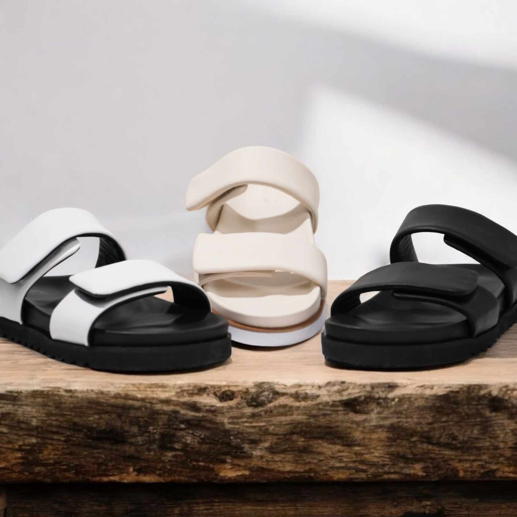 482567402_1179512380470992_2315556587827922034_n