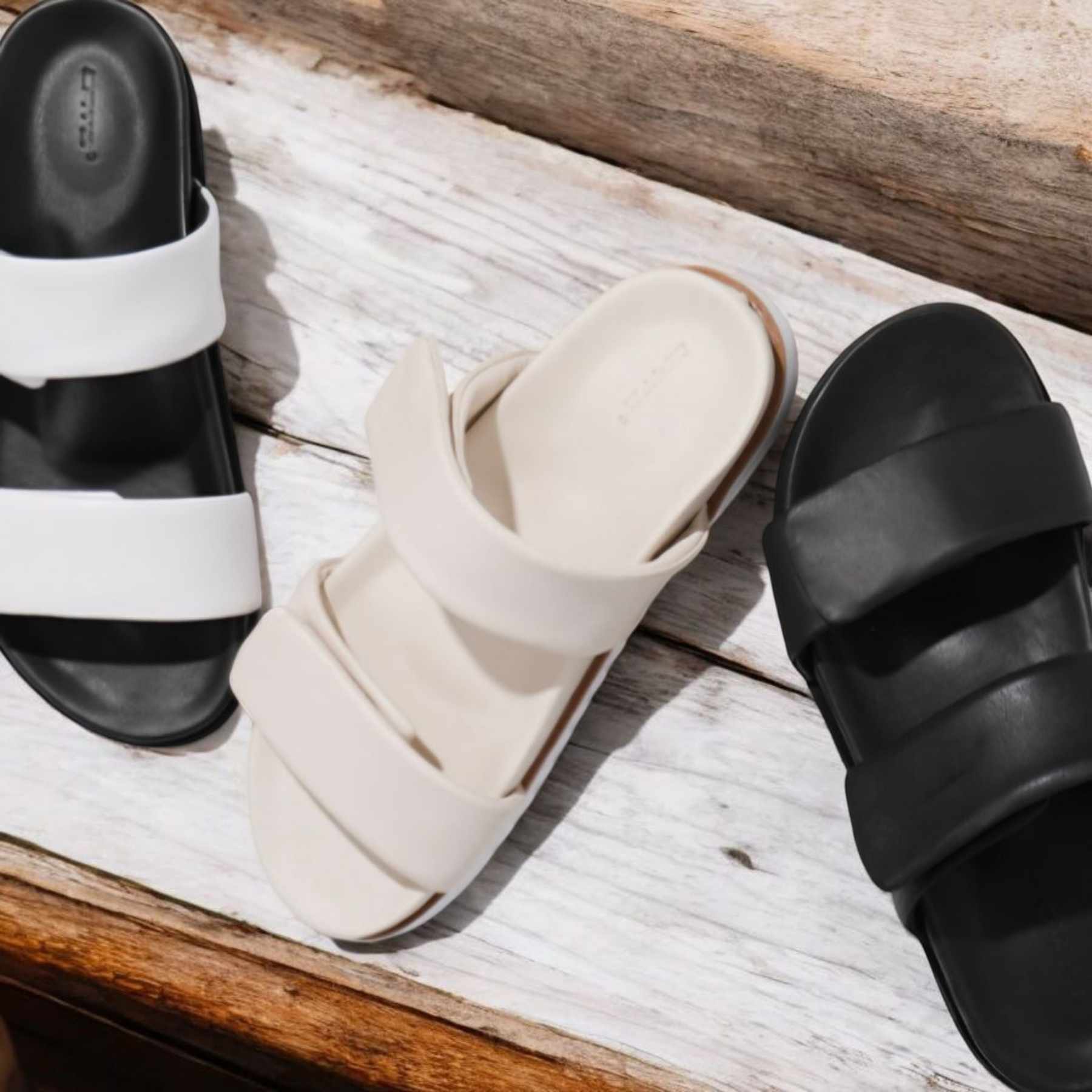 482782734_1176604030482378_3961418073271088538_n