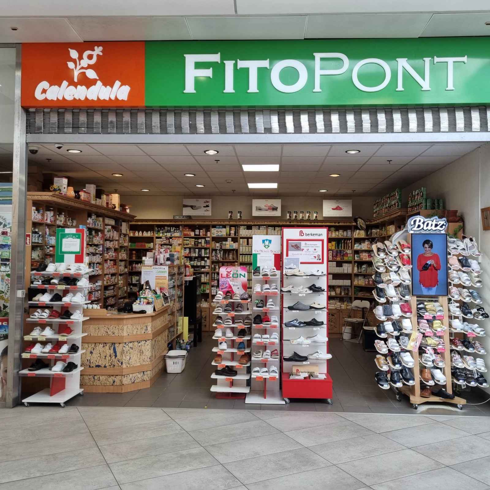 budaors-calendula-fitopont4